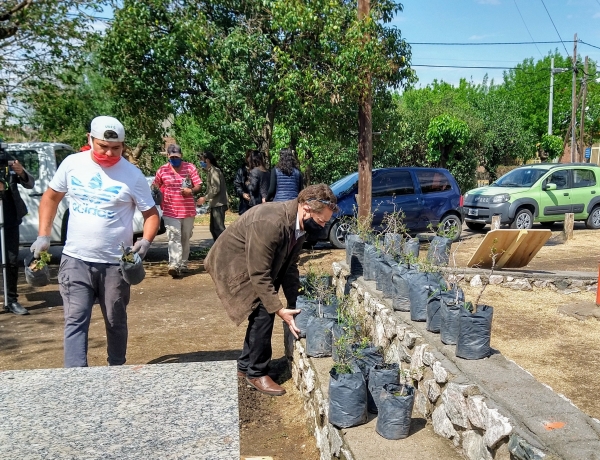 Remediaci&oacute;n ambiental: Provincia entreg&oacute; 3 mil plantas a localidades de Punilla