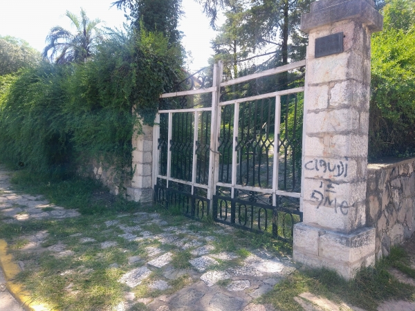 Robaron plantas de cannabis destinadas al uso medicinal en Huerta Grande