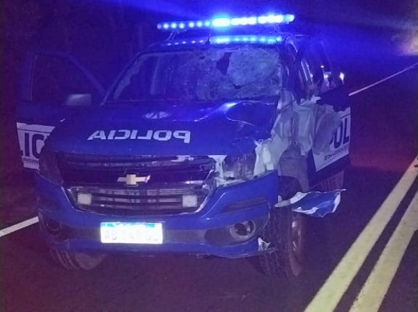 M&oacute;vil policial choc&oacute; a un caballo sobre ruta 38