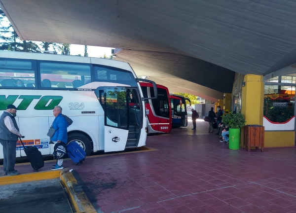 Transporte interurbano gratuito para las elecciones PASO