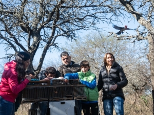 Liberaron 63 animales silvestres luego de rehabilitarse en el Tatú Carreta