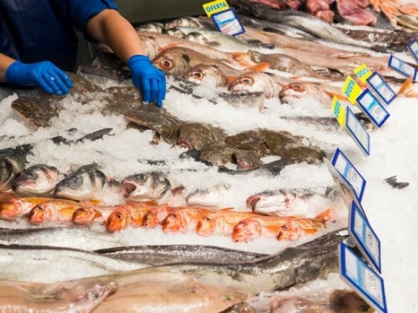 C&oacute;mo prevenir intoxicaciones alimentarias con pescados y mariscos