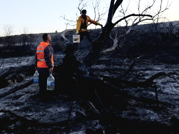 Fue contenido un incendio forestal Villa Giardino