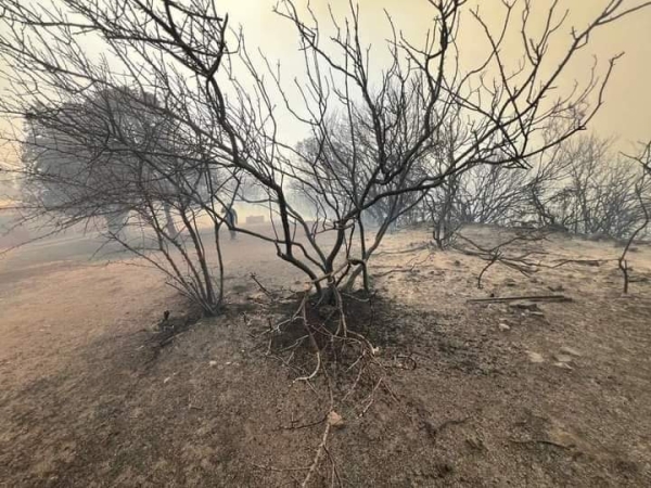 Foto: Daniel C&aacute;ceres 