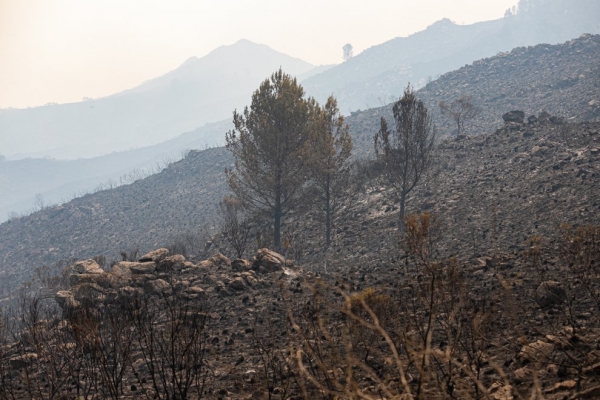La lluvia termin&oacute; de extinguir a los incendios que permanec&iacute;an activos
