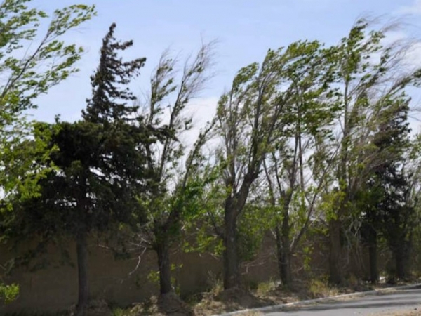 Emiten alerta amarilla por fuertes vientos en Punilla