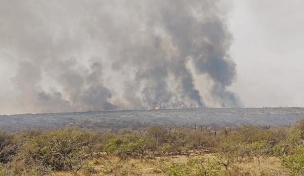 Contin&uacute;an complicados los incendios en el norte cordob&eacute;s