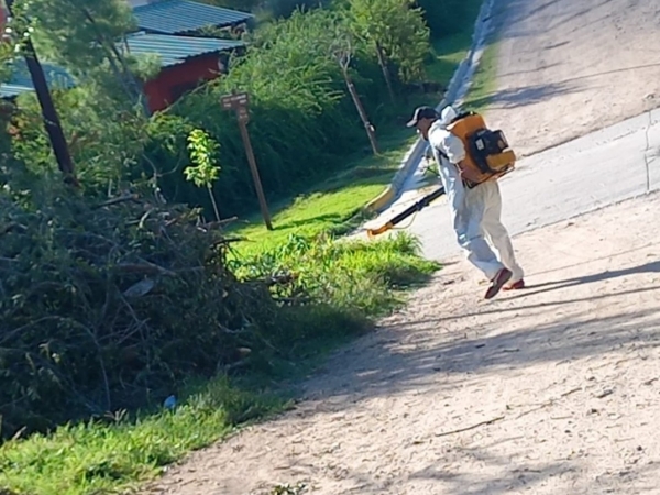Alerta por caso de Dengue confirmado en Villa Giardino