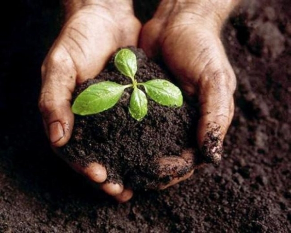 Nueva jornada de canje por compost en Villa Giardino