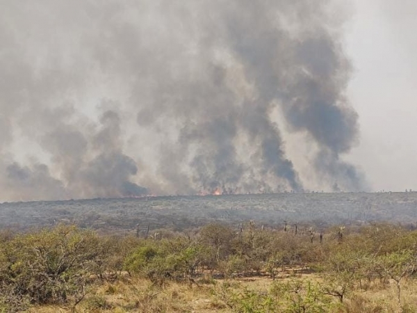 Alerta por condiciones meteorol&oacute;gicas de peligro para el desarrollo de incendios forestales
