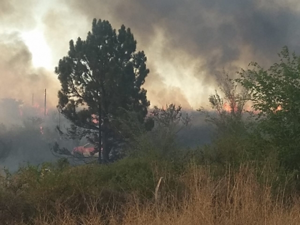 Por el humo, cortaron la autopista C&oacute;rdoba-Carlos Paz