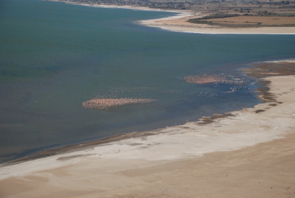 Mar de Ansenuza: a un paso de la creaci&oacute;n del Parque y Reserva Nacional