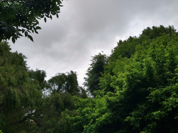 Alerta meteorol&oacute;gico por tormentas fuertes para Punilla