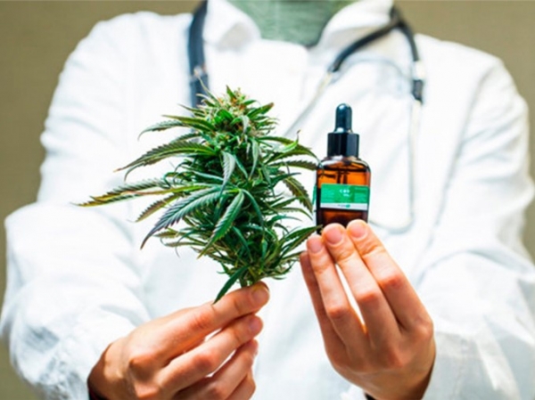 Salud brinda acceso al cannabis medicinal para personas con epilepsia refractaria