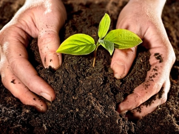 El s&aacute;bado habr&aacute; canje por compost en Villa Giardino