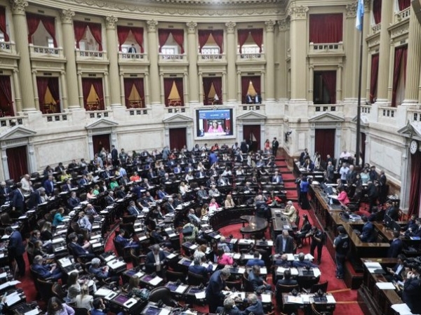 Diputados aprob&oacute; un proyecto para facilitar la renovaci&oacute;n del Certificado de Discapacidad