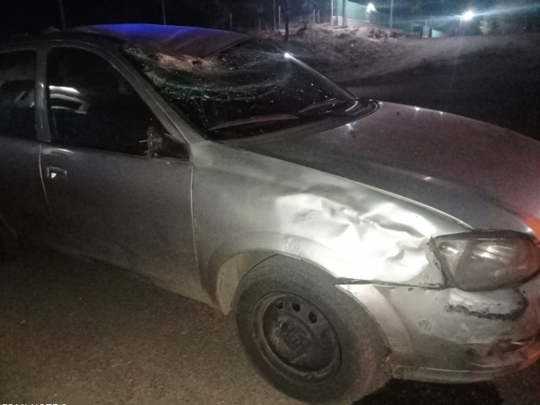 Otro accidente por un caballo suelto en la ruta 38