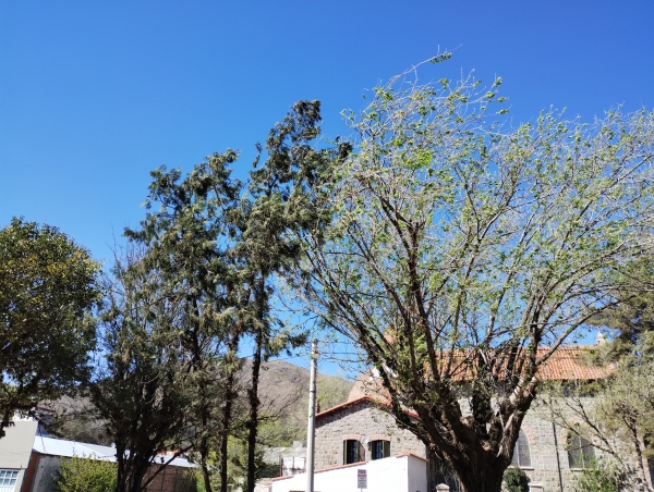 Est&aacute; vigente un Alerta por fuertes vientos en Punilla