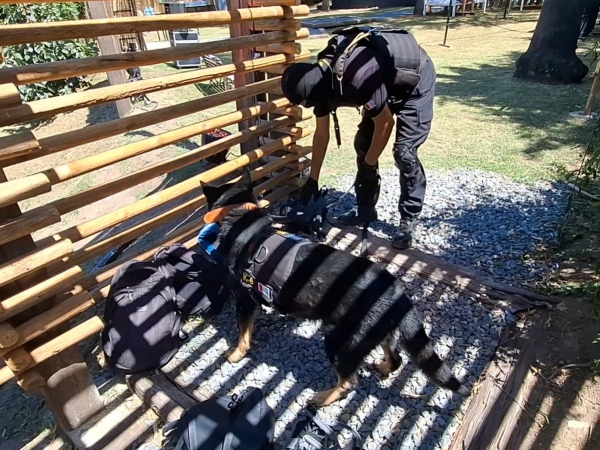 Carlos Paz: secuestraron éxtasis y marihuana en una fiesta electrónica