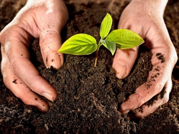 Nueva jornada de canje por compost en Villa Giardino