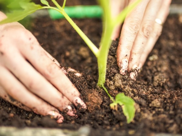 Valle Hermoso: comienza el taller "La Huerta Oto&ntilde;al"