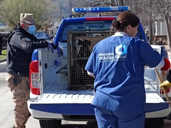 Maltrato animal en Cosqu&iacute;n: desarticularon un criadero clandestino de perros