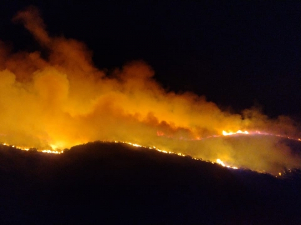 Combaten un incendio forestal en Cuchi Corral