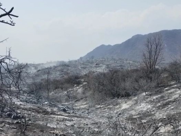 Tras el paso del fuego, una imagen desoladora de un sector de San Marcos Sierras