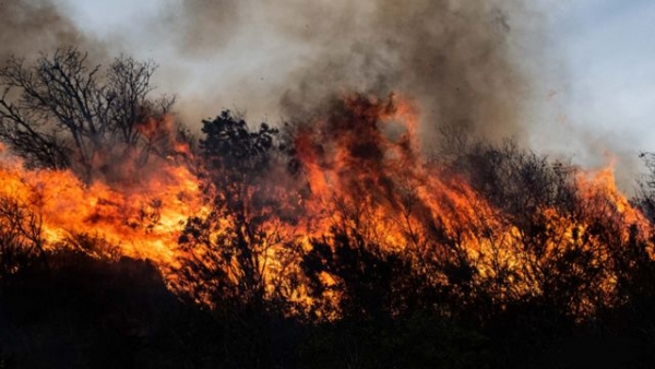 Incendios forestales: detuvieron a dos personas en La Falda