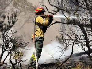 Bomberos de Punilla ya combaten los incendios en Chubut